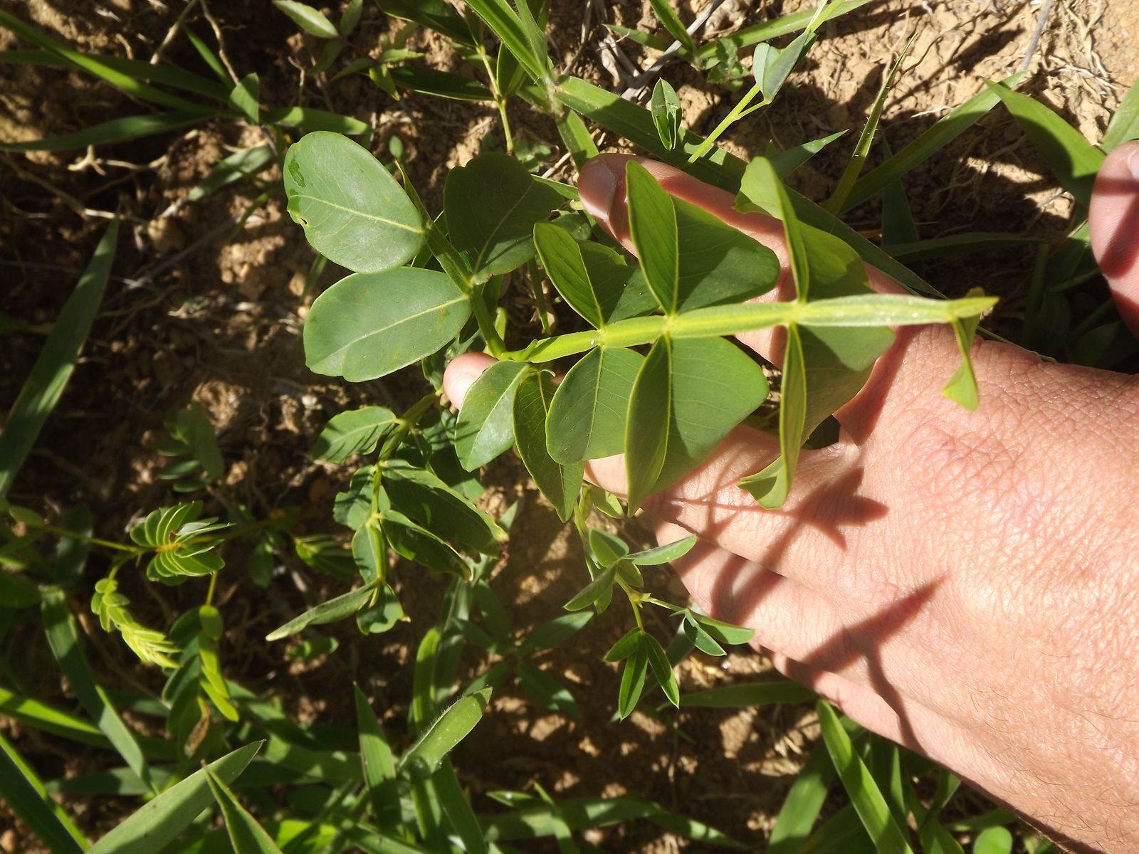 UA - Conservador das Águas, Extrema/SP